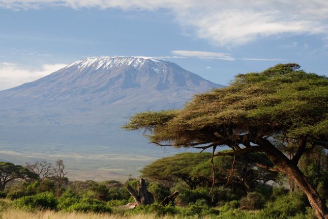 Kilimandžáro pohled z Amboseli