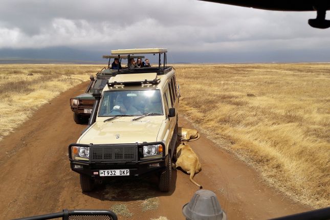 Ngorongoro, Tanzanie