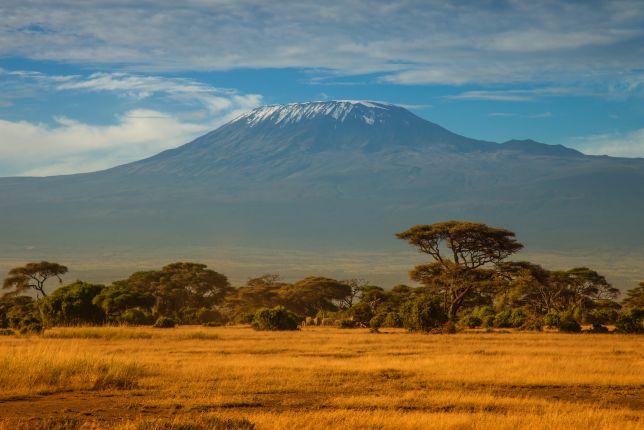 Kilimandžáro - pohled z Amboseli